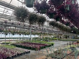 Ponto’s Greenhouses – 1420 Connors Road, Baldwinsville, NY