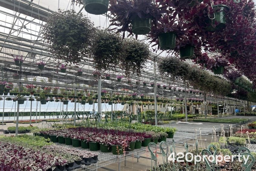 Cannabis Real Estate Listings | Cannabis Greenhouses For Sale