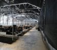 4.32 Acre Industrial and Agricultural Property