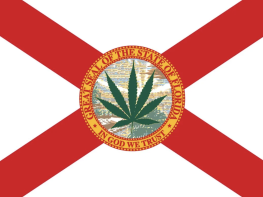 Rare Florida MMTC License Platform with Secured Leasehold Footprint – Fully Vertical, Development-Ready Opportunity (Florida, USA) #2015
