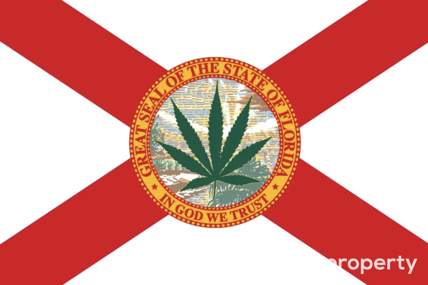 Cannabis Businesses For Sale | Cannabis Retail Stores & Dispensaries For Sale