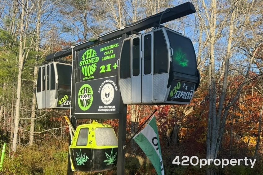 Cannabis Businesses For Sale | Cannabis Retail Stores & Dispensaries For Sale