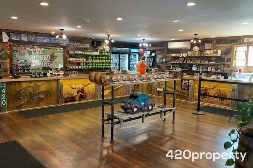 Cannabis Businesses For Sale | Cannabis Retail Stores & Dispensaries For Sale