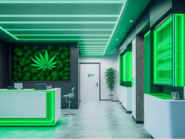 Minnesota – Cannabis Retail License