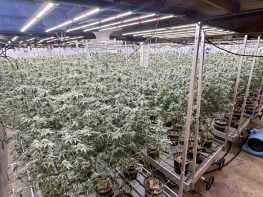 🌿 Turnkey Cannabis Production + 15.2 Acres & Home! 🏡541.690.8618