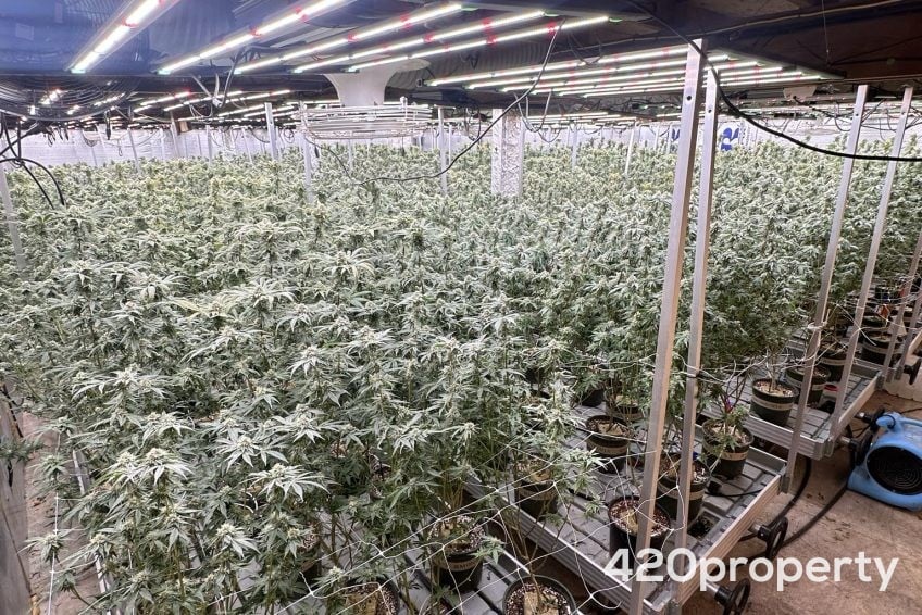 Real Estate | Cannabis Use Spaces For Sale