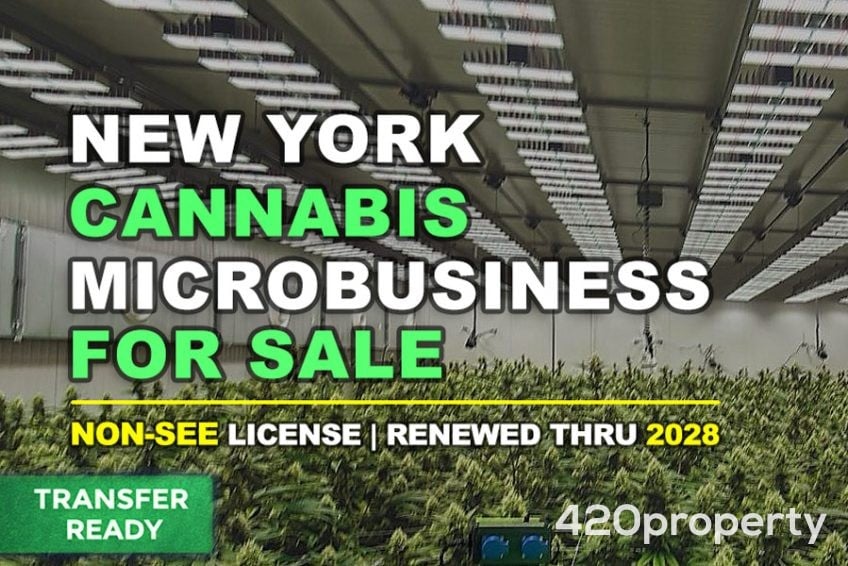 Businesses For Sale | Other Cannabis, CBD, & Hemp Businesses For Sale