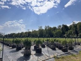 Fully Operational Outdoor Grow-Hanover, MI