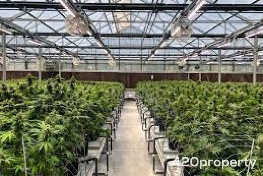 Cannabis & Hemp Industry Joint Venture Opportunities | Cannabis & Hemp Industry Joint Venture Opportunities