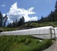 44 +/- Acres Stapp Road Kneeland