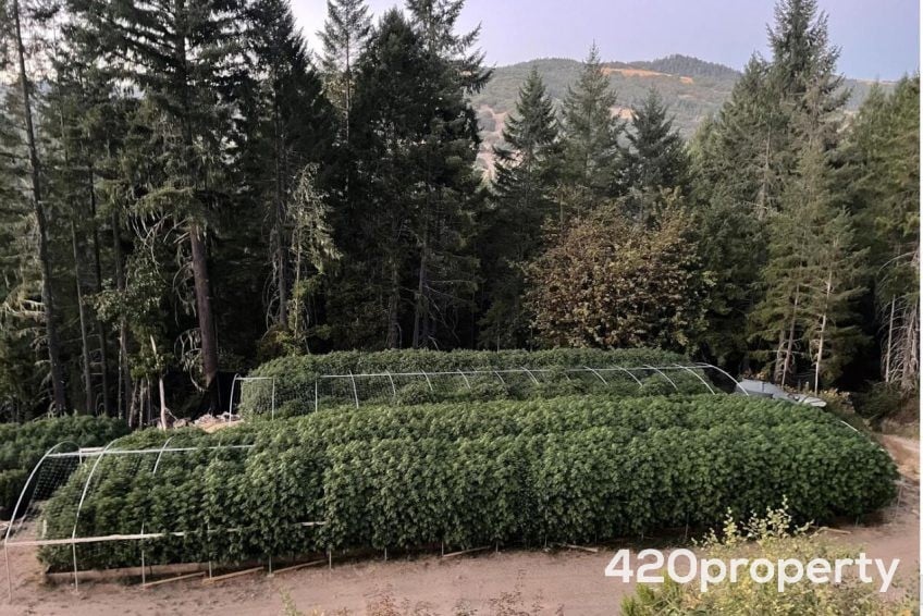 Cannabis Real Estate Listings | Cannabis & Hemp Zoned Land For Sale