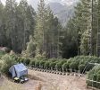 44 +/- Acres Stapp Road Kneeland