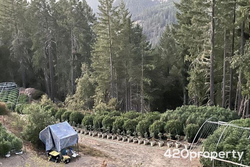 Cannabis Real Estate Listings | Cannabis & Hemp Zoned Land For Sale