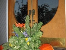 MarijuanaClones.com