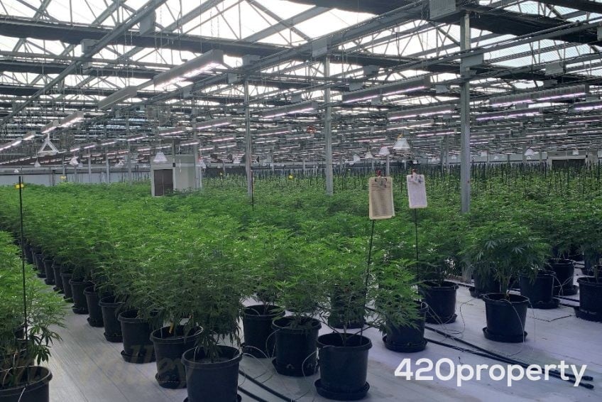 Real Estate | Cannabis Use Spaces For Lease