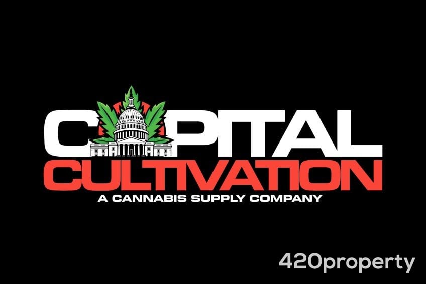 Cannabis & Hemp Industry Joint Venture Opportunities | Cannabis & Hemp Industry Joint Venture Opportunities