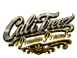 Micro Business Expansion