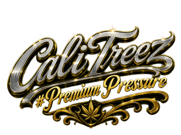 Micro Business Expansion