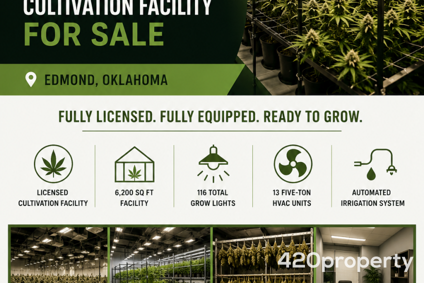 Cannabis Businesses For Sale | Cannabis Cultivation/ Grow Businesses For Sale