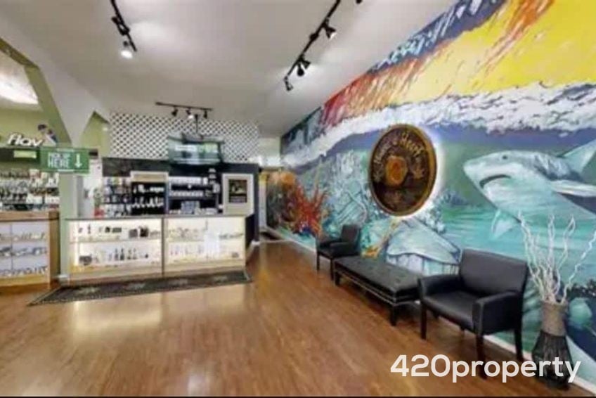 Cannabis Businesses For Sale | Cannabis Retail Stores & Dispensaries For Sale