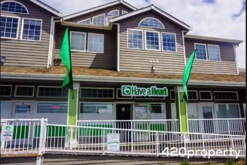 Cannabis Businesses For Sale | Cannabis Retail Stores & Dispensaries For Sale