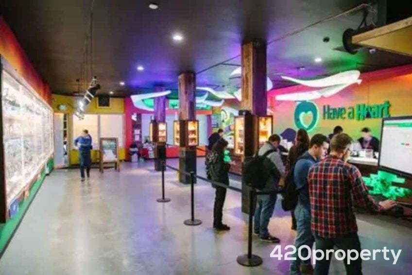 Cannabis Businesses For Sale | Cannabis Retail Stores & Dispensaries For Sale