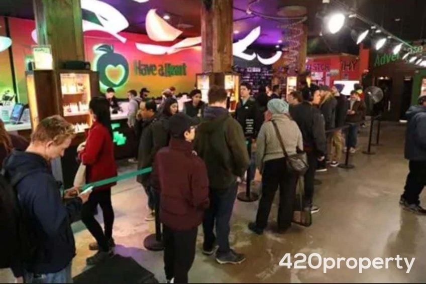 Cannabis Businesses For Sale | Cannabis Retail Stores & Dispensaries For Sale