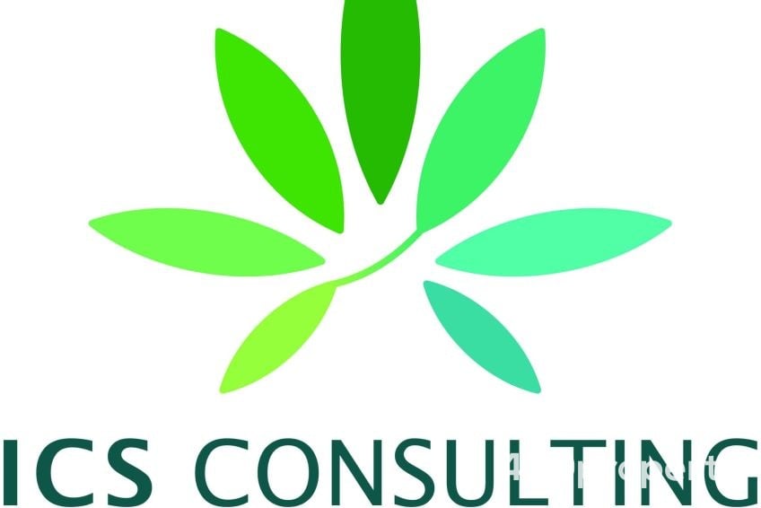 Find a Cannabis & Hemp Industry Professional | Cannabis Business Compliance Consultants