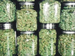 $25K Unique California Cannabis Event Organizer License For Sale with Statewide Mobility (California) #2038