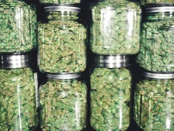 $25K Unique California Cannabis Event Organizer License For Sale with Statewide Mobility (California) #2038