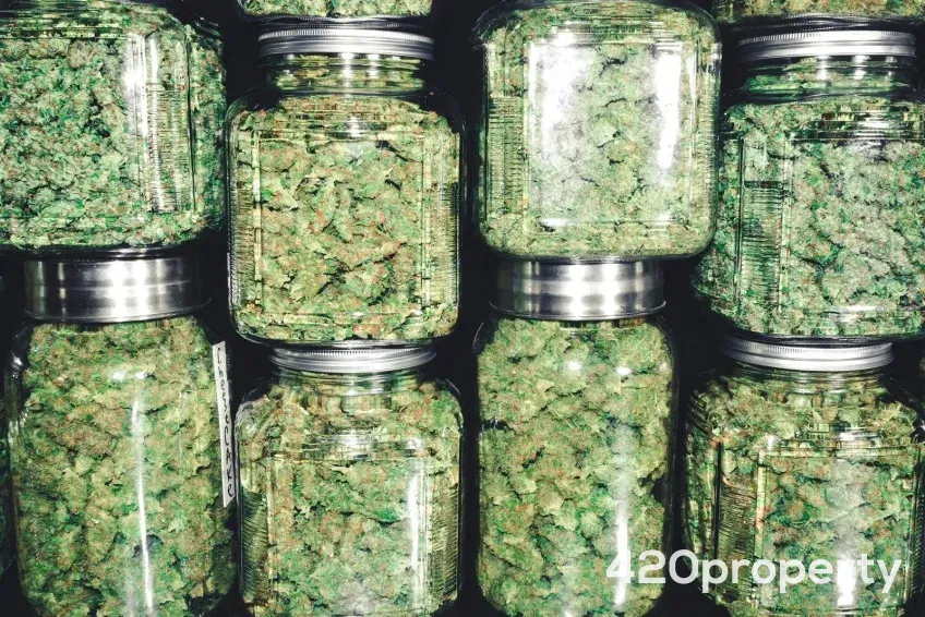 Cannabis Businesses For Sale | Cannabis Business Licenses For Sale