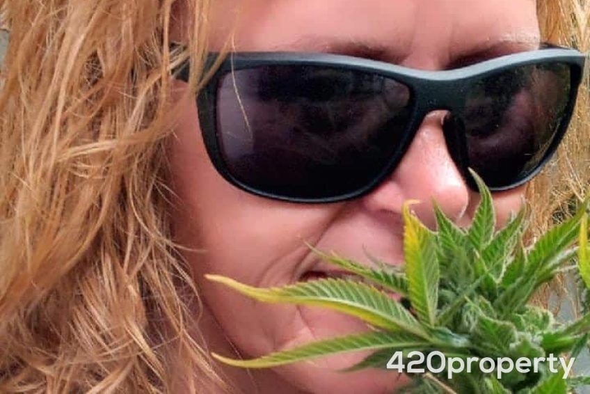 Cannabis Businesses For Sale | Cannabis Cultivation/ Grow Businesses For Sale
