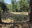 30 acres Nevada city