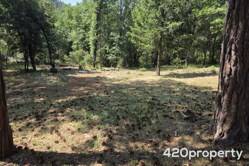 Cannabis Real Estate Listings | Cannabis & Hemp Zoned Land For Sale