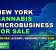 Cannabis Businesses For Sale | Cannabis Business Licenses For Sale