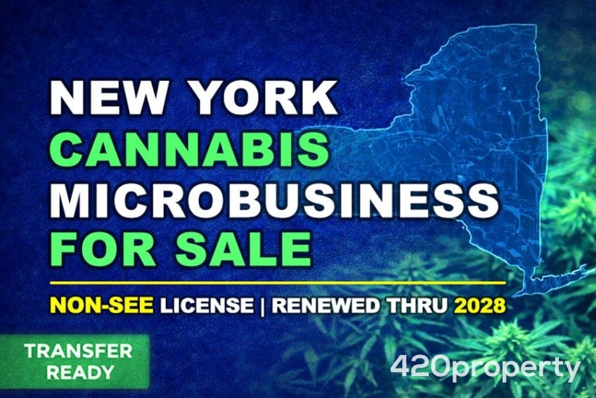 Businesses For Sale | Other Cannabis, CBD, & Hemp Businesses For Sale