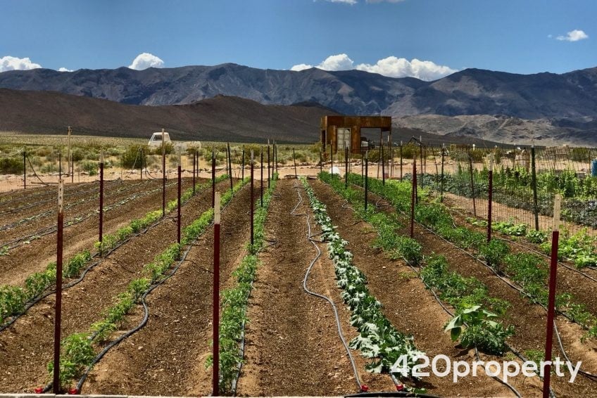 Cannabis Real Estate Listings | Cannabis Greenhouses For Sale