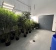Burton – Operating Cultivation/Processing Facility