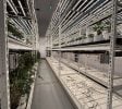 Burton – Operating Cultivation/Processing Facility