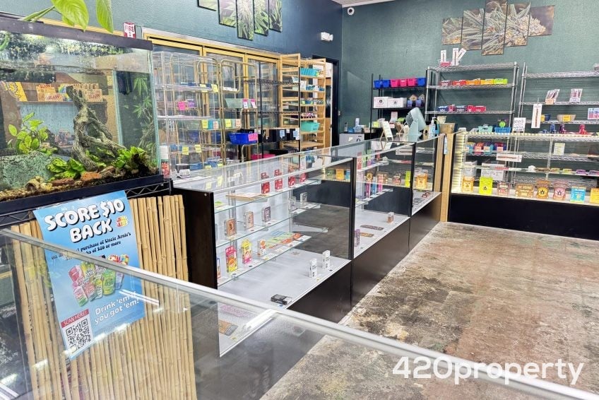 Cannabis Businesses For Sale | Cannabis Retail Stores & Dispensaries For Sale