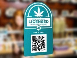 New York Conditional Adult-Use Licenses For Sale