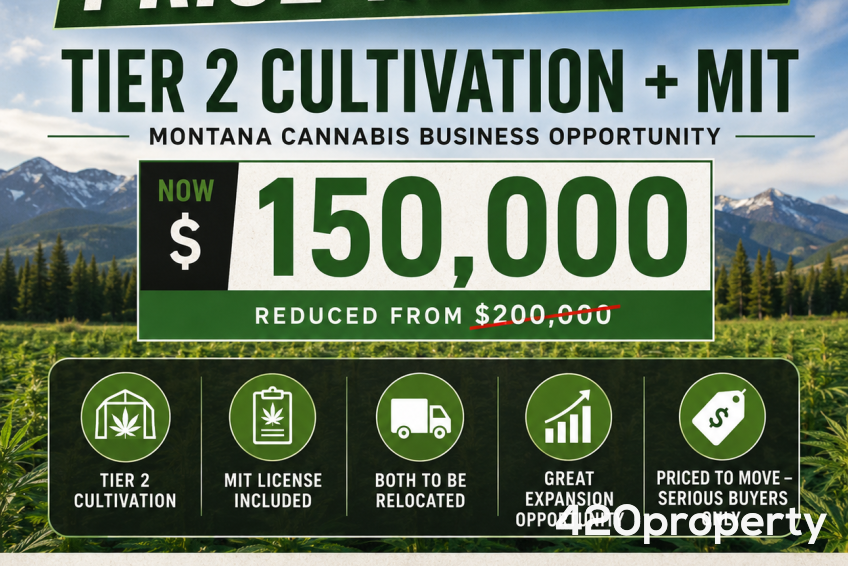Businesses For Sale | Other Cannabis, CBD, & Hemp Businesses For Sale