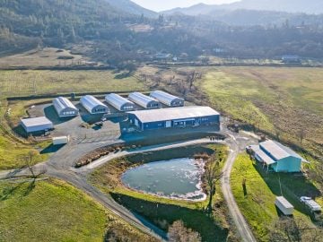 541-690-8618-Discover the Perfect Fusion of Vineyard and Cannabis in Southern Oregon!