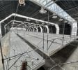 Cannabis Greenhouse & Cultivation Equipment Package – For Relocation