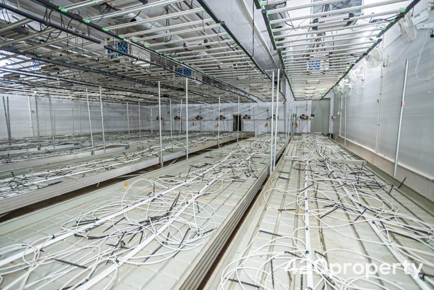 Cannabis Real Estate Listings | Cannabis Warehouses and Industrial Buildings For Sale