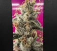 Turnkey, High-End Cannabis Dispensary | Premier Northwest Albuquerque Retail Location