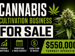 Turnkey Colorado Medical & Recreational Cannabis Cultivation Business