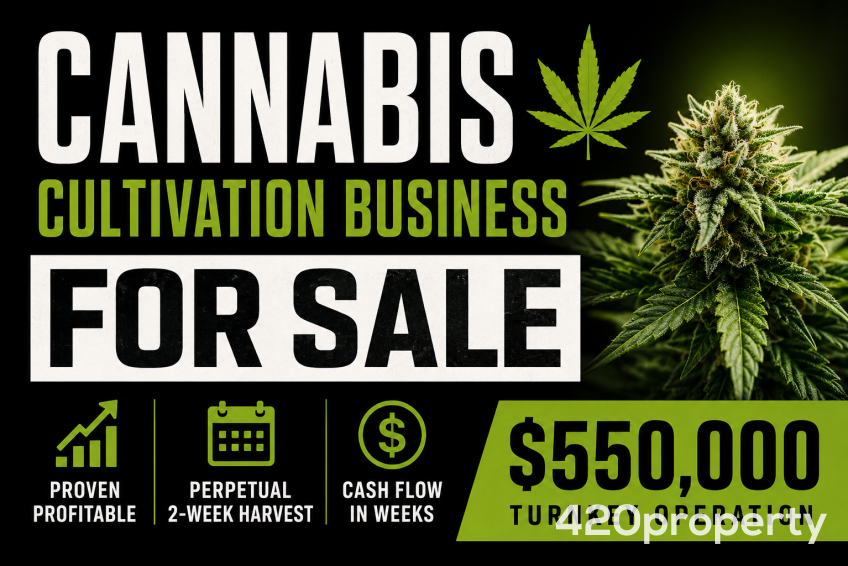 Cannabis Businesses For Sale | Cannabis Cultivation/ Grow Businesses For Sale