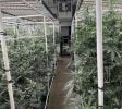 Premium Indoor Cannabis Cultivation Facility – Fully Equipped – Los Angeles Area