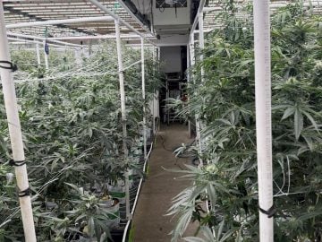 Premium Indoor Cannabis Cultivation Facility – Fully Equipped – Los Angeles Area